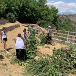 IMG_1184-e1585597404881