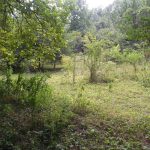 DSCN0843-scaled-e1590521314165