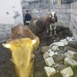 18052265_1339263572829919_1934841181_o