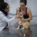 20620879_1151763748256851_1718306807489853399_n