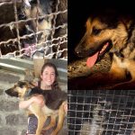 26904581_1286959841403907_7036633733670942370_n