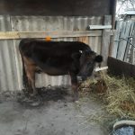 30074016_1676632789092994_981573106_o