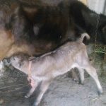 30125818_1676633129092960_797646261_o