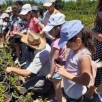 65744288_1051026258434651_7638708806062440448_n