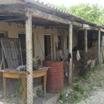 IMG-495c29916fad9eda2e3ba247248e437a-V-e1590177725899