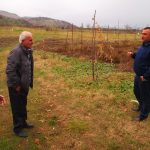 P1013029-e1517337165174