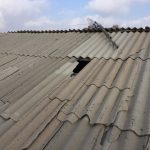 IMG_3421-e1546026386846