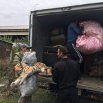 IMG_3175-e1568233239259