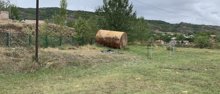 Roots in Nerkin Karmir Aghbyur