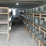 20200925_132752-scaled