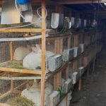 20201027_150217-scaled