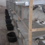 20201115_175359-scaled