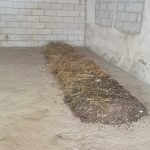 20201202_141312-scaled