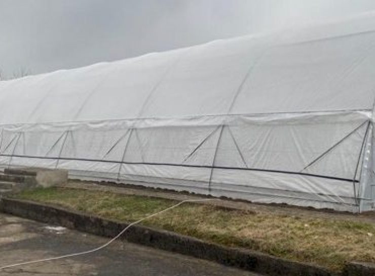 Greenhouse-1-e1622483192344-740×545